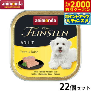 y2000~OFFN[|IGg[Ń|Cg+20{I{IzAj_ hbOt[h tHt@CXe A_g ʒ `[Y 150g×22 Y 