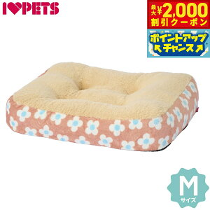 y2000~OFFN[|IGg[Ń|Cg+20{I}\Iz{rAR XNGANbV M t[uE tbgxbh XNGAxbh g