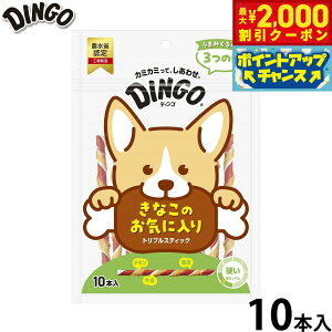 y2000~OFFN[|IGg[Ń|Cg+20{I{IzfBS p gvXeBbN 10{ Dingo K  f^PA hbOg[c