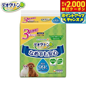 y2000~OFFN[|IGg[Ń|Cg+20{I}\Izj `[ fIN[ 99%EFbgeBbV ߂p 70×3pbN