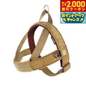 y2000~OFFN[|IGg[Ń|Cg+20{I{IzC[W[hbO EZY DOG NCbNn[lX S R[fCyz