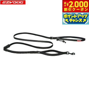 y2000~OFFN[|IGg[Ń|Cg+20{I{IzC[W[hbO EZYDOG [hi[Cg ubNyz [h VbNz@\ | V_[[h