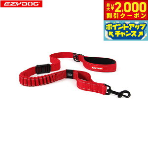 y2000~OFFN[|IGg[Ń|Cg+20{I{IzC[W[hbO EZYDOG [VbN 120cm bhyz Lk VbNz