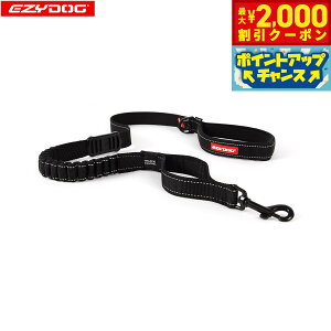 y2000~OFFN[|IGg[Ń|Cg+20{I}\IzC[W[hbO EZYDOG [VbN 120cm ubNyz Lk VbNz