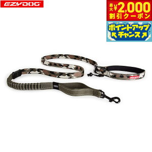 y2000~OFFN[|IGg[Ń|Cg+20{I}\IzC[W[hbO EZYDOG [hi[ O[Jyz [h VbNz@\ | V_[[