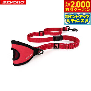 y2000~OFFN[|IGg[Ń|Cg+20{I}\IzC[W[hbO EZYDOG nfB[VbN[h bhyz V[g[h 蕔