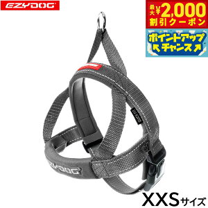 y2000~OFFN[|IGg[Ń|Cg+20{I}\IzC[W[hbO EZYDOG NCbNn[lX XXS OCyz ȒP  ^