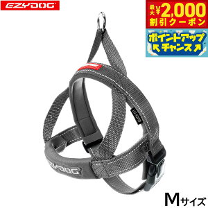 y2000~OFFN[|IGg[Ń|Cg+20{I{IzC[W[hbO EZYDOG NCbNn[lX M OCyz ȒP  ^