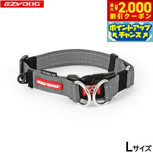 y2000~OFFN[|IGg[Ń|Cg+20{I}\IzC[W[hbO EZYDOG _ubNJ[ L OC  2dŒ  ^