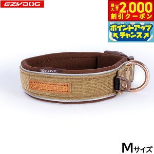 y2000~OFFN[|IGg[Ń|Cg+20{I}\IzC[W[hbO EZYDOG v~A R[fC RNV lIJ[ M R[fCyz  EFbgX