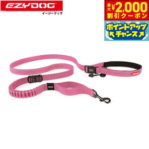 y2000~OFFN[|IGg[Ń|Cg+20{I{IzC[W[hbO EZYDOG [hi[ [h sN VbNz@\ | V_[[h