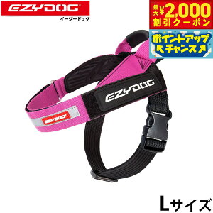 y2000~OFFN[|IGg[Ń|Cg+20{I{IzC[W[hbO EZYDOG GNXvXn[lX L sN nht 