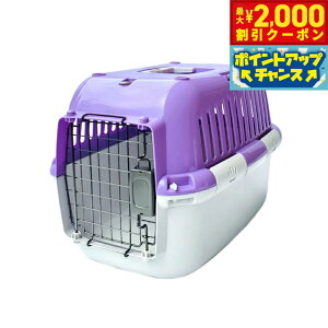 y2000~OFFN[|IGg[Ń|Cg+20{I}\Izt@^W[[h t@^W[L[ S p[v