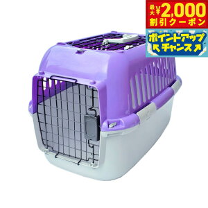 y2000~OFFN[|IGg[Ń|Cg+20{I}\Izt@^W[[h t@^W[L[ I[v S p[v