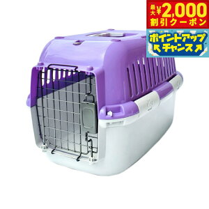 y2000~OFFN[|IGg[Ń|Cg+20{I}\Izt@^W[[h t@^W[L[ M p[v