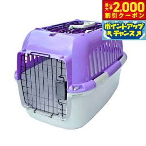 y2000~OFFN[|IGg[Ń|Cg+20{I}\Izt@^W[[h t@^W[L[ I[v M p[v