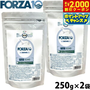 y2000~OFFN[|IGg[Ń|Cg+20{I{IztHc@10 Forza10 hbOt[h GR[ANeBu ~j ̃PApHÖ@H 250g×2 Y  