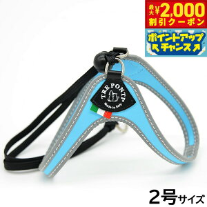 y2000~OFFN[|IGg[Ń|Cg+20{I}\Izg|eB TREPONTI x^ tNeBu ^pn[lX 2 XJCu[