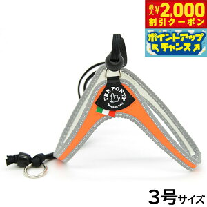 y2000~OFFN[|IGg[Ń|Cg+20{I}\Izg|eB TREPONTI x^ tI ^pn[lX 3 IW