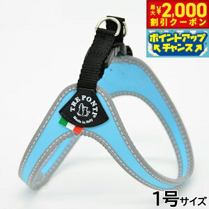 y2000~OFFN[|IGg[Ń|Cg+20{I}\Izg|eB TREPONTI tBbrA tNeBu ^pn[lX 1 XJCu[