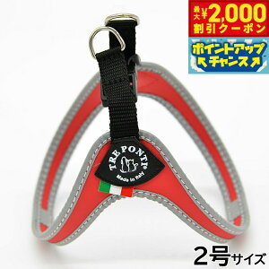 y2000~OFFN[|IGg[Ń|Cg+20{I{Izg|eB TREPONTI tBbrA tNeBu ^pn[lX 2 bh