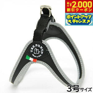 y2000~OFFN[|IGg[Ń|Cg+20{I}\Izg|eB TREPONTI tBbrA tNeBu ^pn[lX 3 ubN