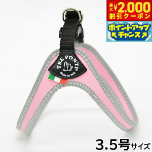 y2000~OFFN[|IGg[Ń|Cg+20{I}\Izg|eB TREPONTI tBbrA tNeBu ^pn[lX 3.5 sN