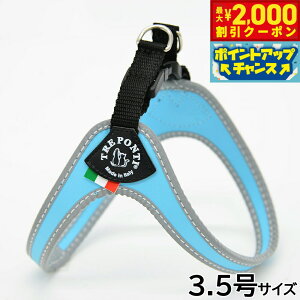 y2000~OFFN[|IGg[Ń|Cg+20{I}\Izg|eB TREPONTI tBbrA tNeBu ^pn[lX 3.5 XJCu[