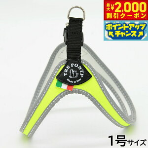 y2000~OFFN[|IGg[Ń|Cg+20{I}\Izg|eB TREPONTI tBbrA tI ^pn[lX 1 CG[