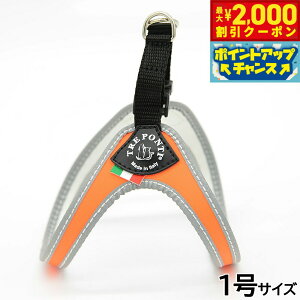 y2000~OFFN[|IGg[Ń|Cg+20{I}\Izg|eB TREPONTI tBbrA tI ^pn[lX 1 IW