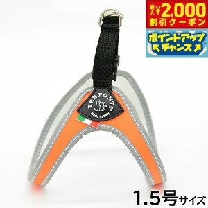 y2000~OFFN[|IGg[Ń|Cg+20{I}\Izg|eB TREPONTI tBbrA tI ^pn[lX 1.5 IW