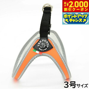 y2000~OFFN[|IGg[Ń|Cg+20{I}\Izg|eB TREPONTI tBbrA tI ^pn[lX 3 IW