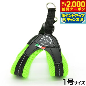 y2000~OFFN[|IGg[Ń|Cg+20{I}\Izg|eB TREPONTI tBbrA \tgbV ^pn[lX 1 O[