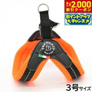 y2000~OFFN[|IGg[Ń|Cg+20{I}\Izg|eB TREPONTI tBbrA \tgbV ^pn[lX 3 IW