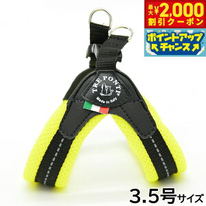 y2000~OFFN[|IGg[Ń|Cg+20{I{Izg|eB TREPONTI tBbrA \tgbV ^pn[lX 3.5 CG[