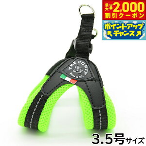 y2000~OFFN[|IGg[Ń|Cg+20{I{Izg|eB TREPONTI tBbrA \tgbV ^pn[lX 3.5 O[