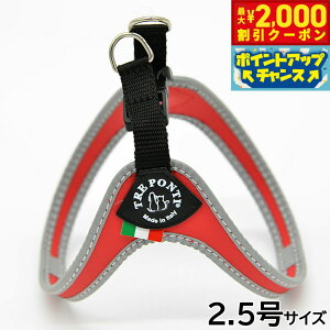 y2000~OFFN[|IGg[Ń|Cg+20{I}\Izg|eB TREPONTI tBbrA tNeBu ^pn[lX 2.5 bh