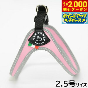 y2000~OFFN[|IGg[Ń|Cg+20{I}\Izg|eB TREPONTI tBbrA tNeBu ^pn[lX 2.5 sN