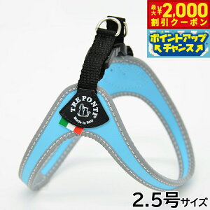 y2000~OFFN[|IGg[Ń|Cg+20{I{Izg|eB TREPONTI tBbrA tNeBu ^pn[lX 2.5 XJCu[