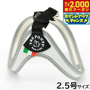 y2000~OFFN[|IGg[Ń|Cg+20{I{Izg|eB TREPONTI tBbrA tI ^pn[lX 2.5 zCg