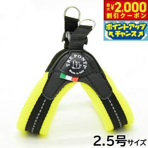 y2000~OFFN[|IGg[Ń|Cg+20{I}\Izg|eB TREPONTI tBbrA \tgbV ^pn[lX 2.5 CG[