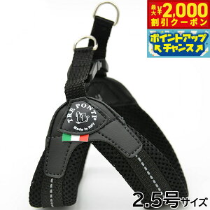 y2000~OFFN[|IGg[Ń|Cg+20{I}\Izg|eB TREPONTI tBbrA \tgbV ^pn[lX 2.5 ubN