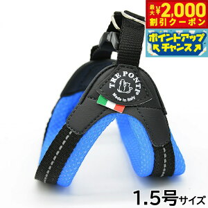 y2000~OFFN[|IGg[Ń|Cg+20{I}\Izg|eB TREPONTI tBbrA \tgbV ^pn[lX 1.5 u[