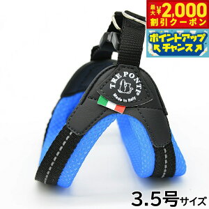 y2000~OFFN[|IGg[Ń|Cg+20{I}\Izg|eB TREPONTI tBbrA \tgbV ^pn[lX 3.5 u[