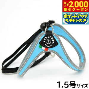 y2000~OFFN[|IGg[Ń|Cg+20{I{Izg|eB TREPONTI x^ tNeBu ^pn[lX 1.5 XJCu[