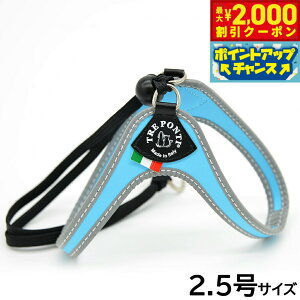 y2000~OFFN[|IGg[Ń|Cg+20{I}\Izg|eB TREPONTI x^ tNeBu ^pn[lX 2.5 XJCu[