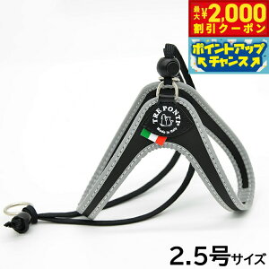 y2000~OFFN[|IGg[Ń|Cg+20{I}\Izg|eB TREPONTI x^ tNeBu ^pn[lX 2.5 ubN