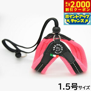 y2000~OFFN[|IGg[Ń|Cg+20{I{Izg|eB TREPONTI x^ \tgbV ^pn[lX 1.5 sN