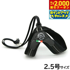 y2000~OFFN[|IGg[Ń|Cg+20{I}\Izg|eB TREPONTI x^ \tgbV ^pn[lX 2.5 ubN