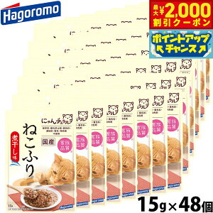 y2000~OFFN[|IGg[Ń|Cg+20{I{Iz͂t[Y Lpӂ肩 ˂ӂ ϊ 15g×48 Y Y